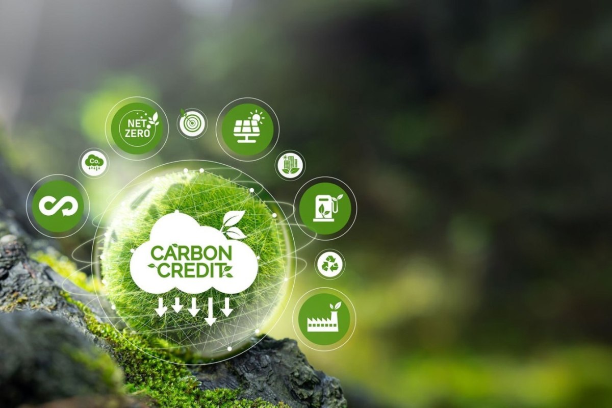 Carbon Credits Landscape: Turning Green Goals into Viable Solutions